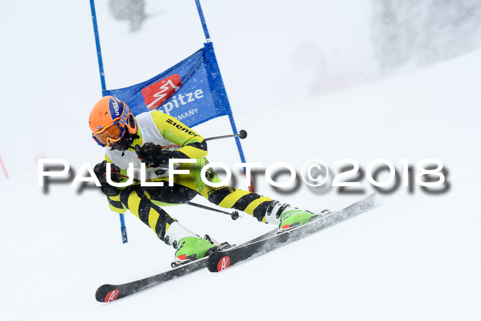 7. BZB CUP RS, 25.02.2018