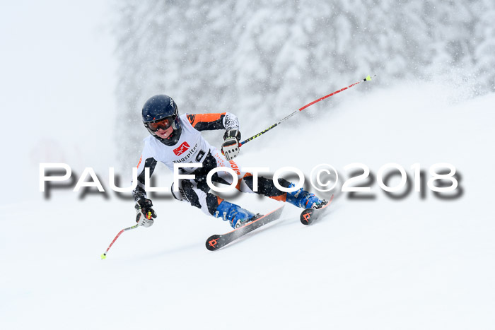 7. BZB CUP RS, 25.02.2018