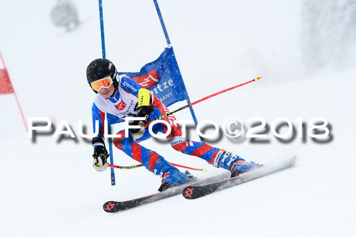 7. BZB CUP RS, 25.02.2018