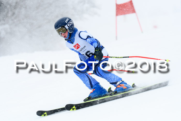 7. BZB CUP RS, 25.02.2018
