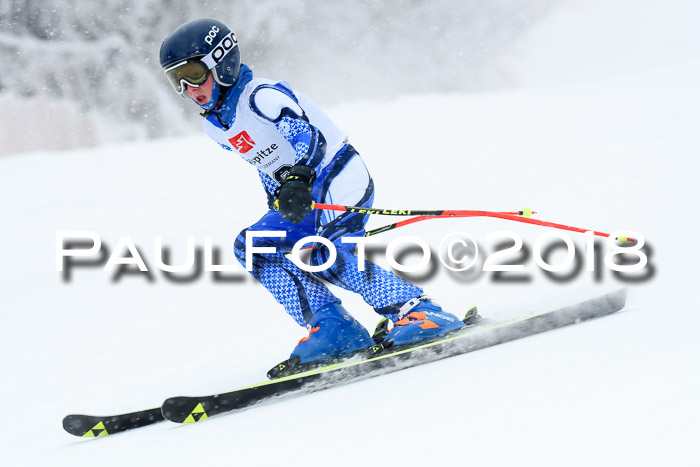 7. BZB CUP RS, 25.02.2018