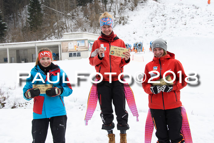 7. BZB CUP RS, 25.02.2018