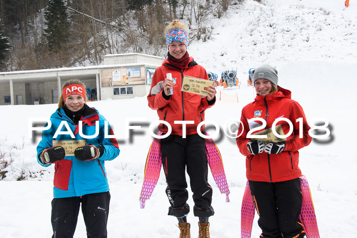 7. BZB CUP RS, 25.02.2018