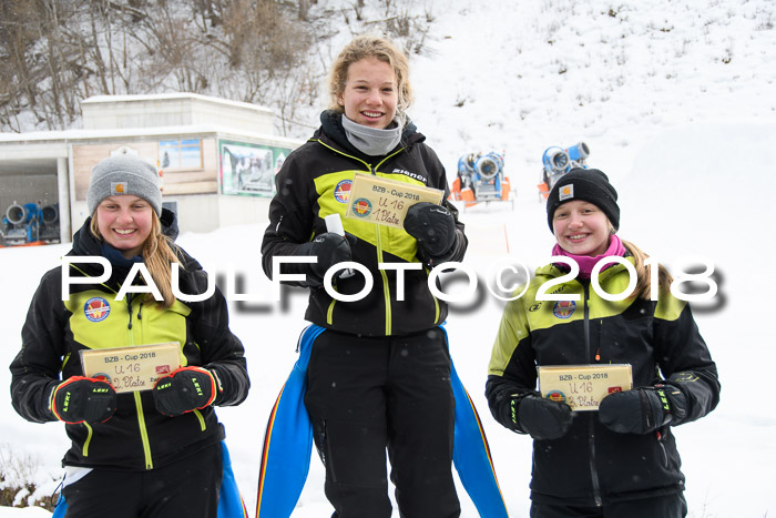 7. BZB CUP RS, 25.02.2018