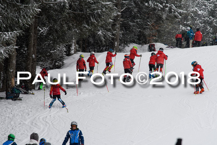 4. Ziener Cup WF, 25.02.2018