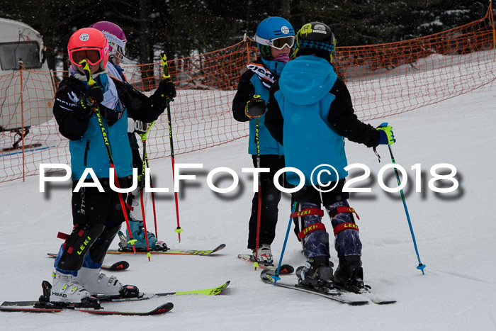 4. Ziener Cup WF, 25.02.2018