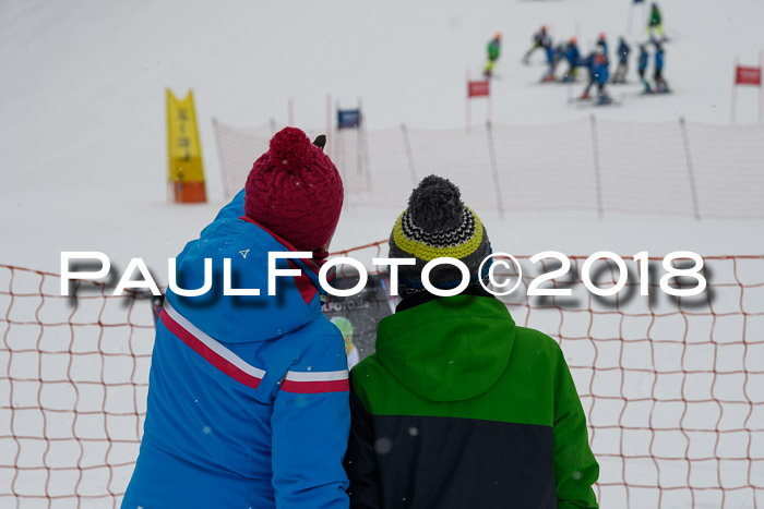 4. Ziener Cup WF, 25.02.2018