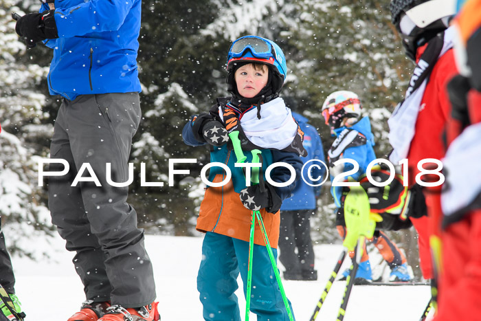 4. Ziener Cup WF, 25.02.2018