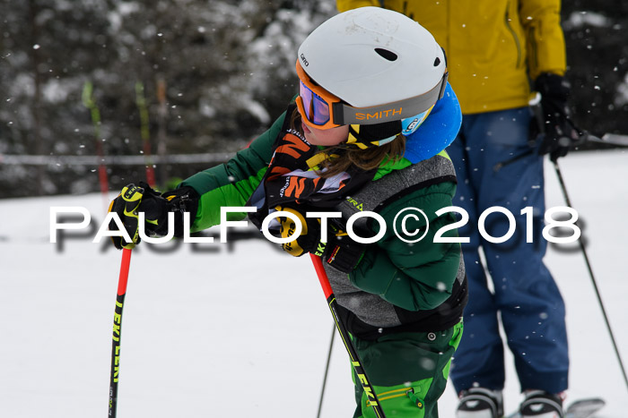 4. Ziener Cup WF, 25.02.2018
