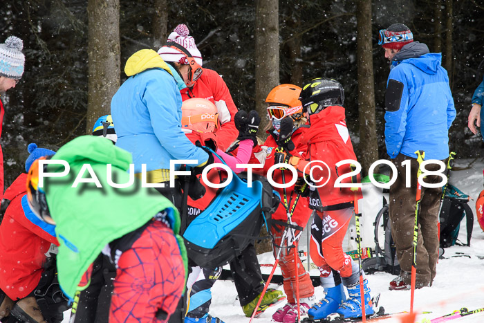 4. Ziener Cup WF, 25.02.2018