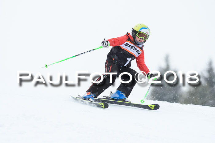 4. Ziener Cup WF, 25.02.2018