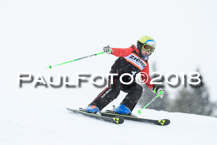 4. Ziener Cup WF, 25.02.2018