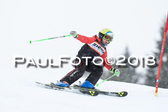 4. Ziener Cup WF, 25.02.2018