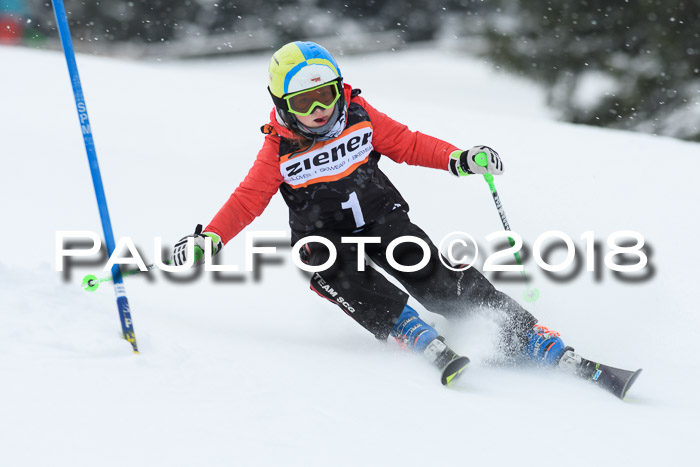 4. Ziener Cup WF, 25.02.2018