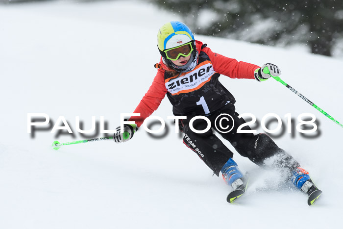 4. Ziener Cup WF, 25.02.2018