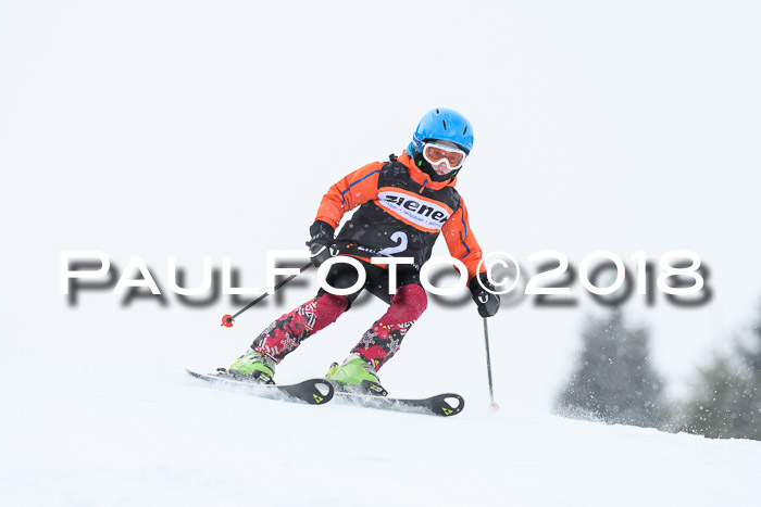 4. Ziener Cup WF, 25.02.2018