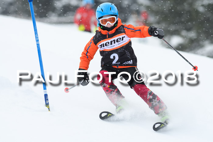 4. Ziener Cup WF, 25.02.2018