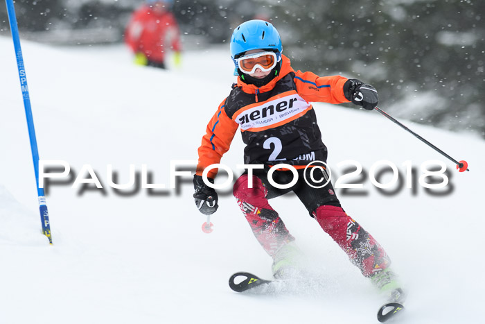 4. Ziener Cup WF, 25.02.2018
