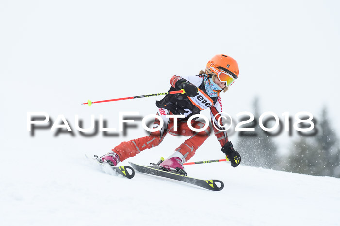 4. Ziener Cup WF, 25.02.2018