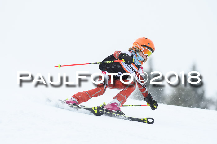4. Ziener Cup WF, 25.02.2018