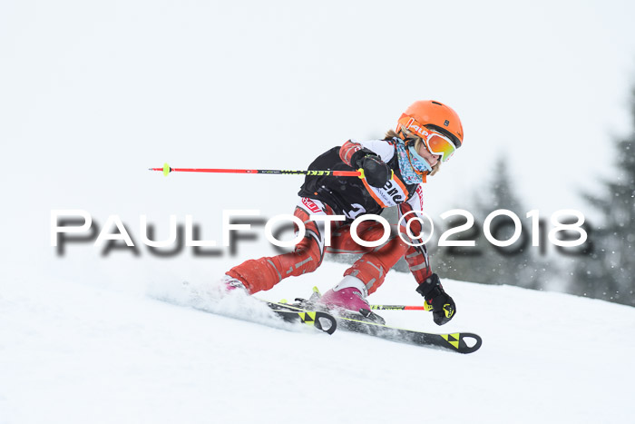 4. Ziener Cup WF, 25.02.2018