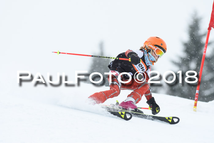 4. Ziener Cup WF, 25.02.2018