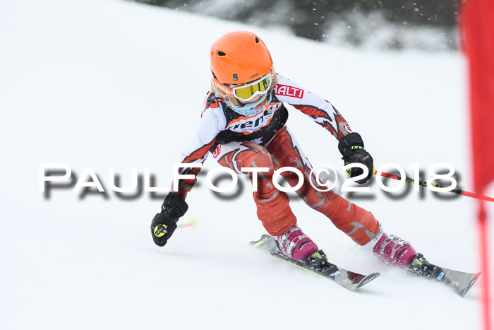 4. Ziener Cup WF, 25.02.2018