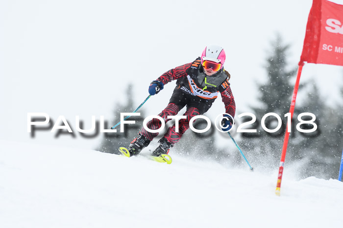 4. Ziener Cup WF, 25.02.2018