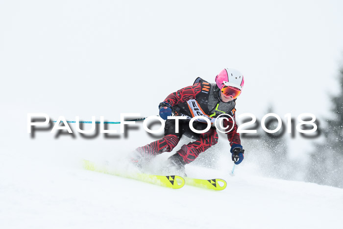 4. Ziener Cup WF, 25.02.2018