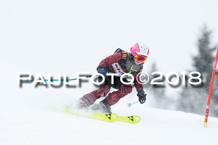 4. Ziener Cup WF, 25.02.2018