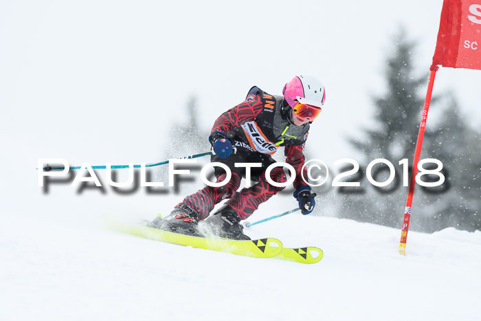 4. Ziener Cup WF, 25.02.2018