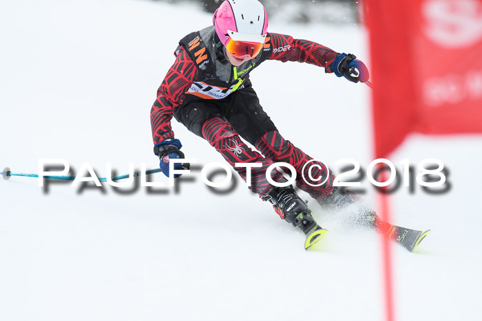 4. Ziener Cup WF, 25.02.2018