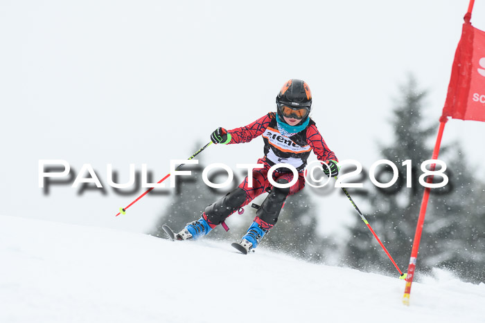 4. Ziener Cup WF, 25.02.2018