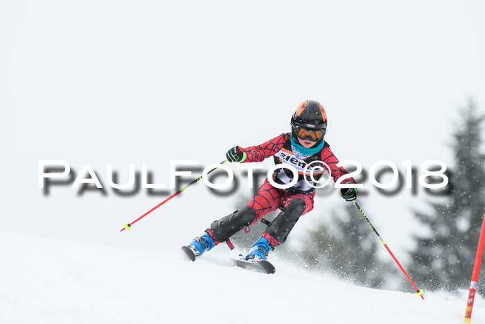 4. Ziener Cup WF, 25.02.2018