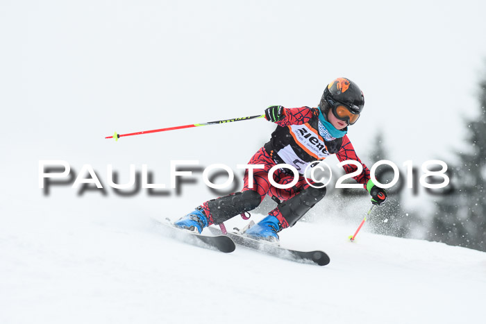 4. Ziener Cup WF, 25.02.2018