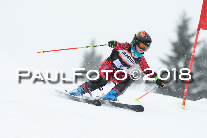 4. Ziener Cup WF, 25.02.2018