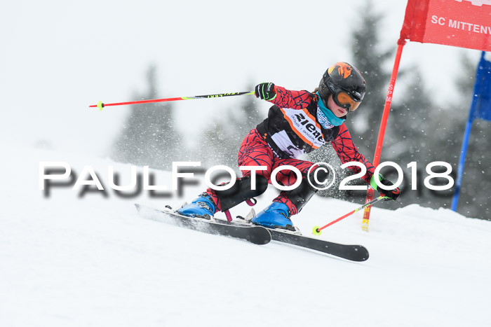 4. Ziener Cup WF, 25.02.2018