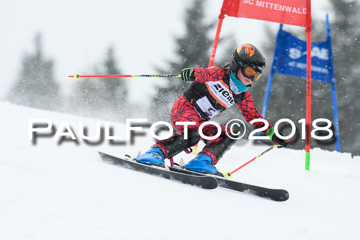 4. Ziener Cup WF, 25.02.2018