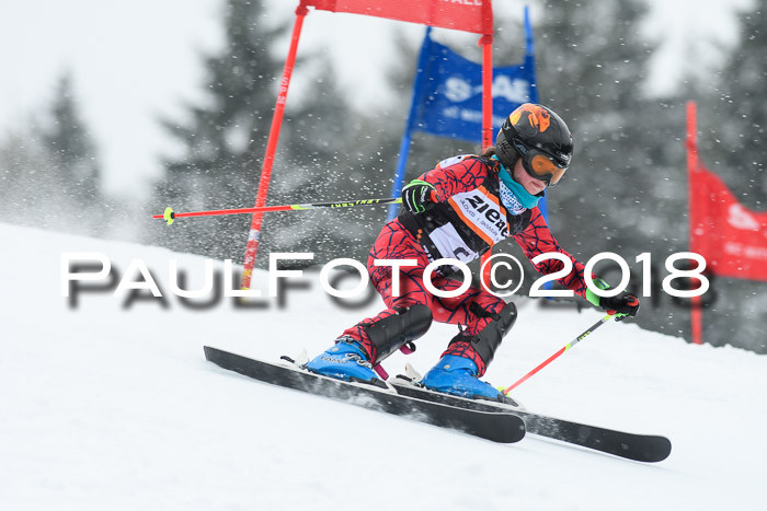 4. Ziener Cup WF, 25.02.2018