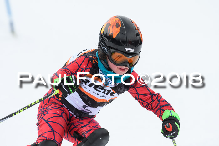 4. Ziener Cup WF, 25.02.2018
