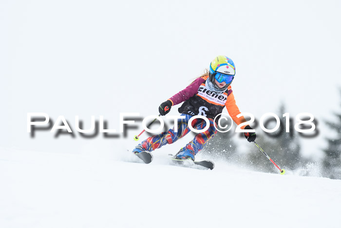 4. Ziener Cup WF, 25.02.2018