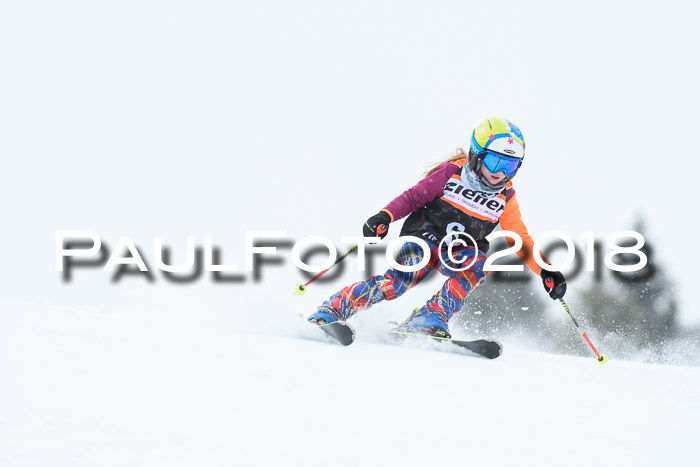 4. Ziener Cup WF, 25.02.2018