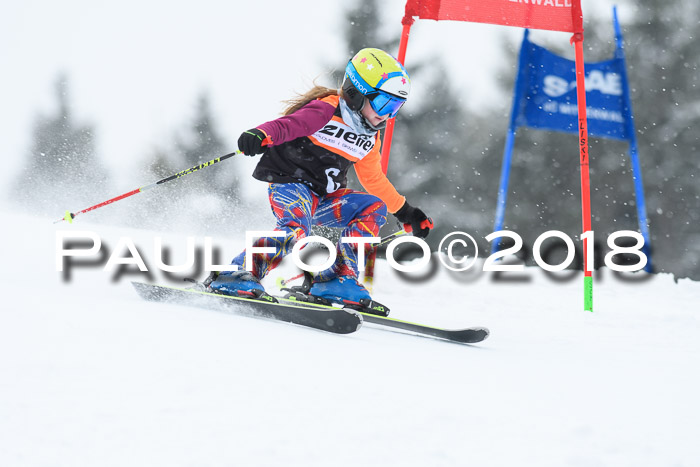 4. Ziener Cup WF, 25.02.2018