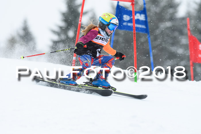 4. Ziener Cup WF, 25.02.2018