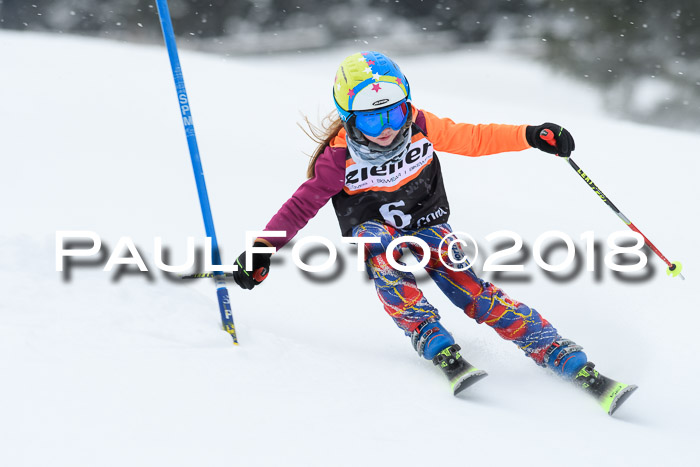4. Ziener Cup WF, 25.02.2018