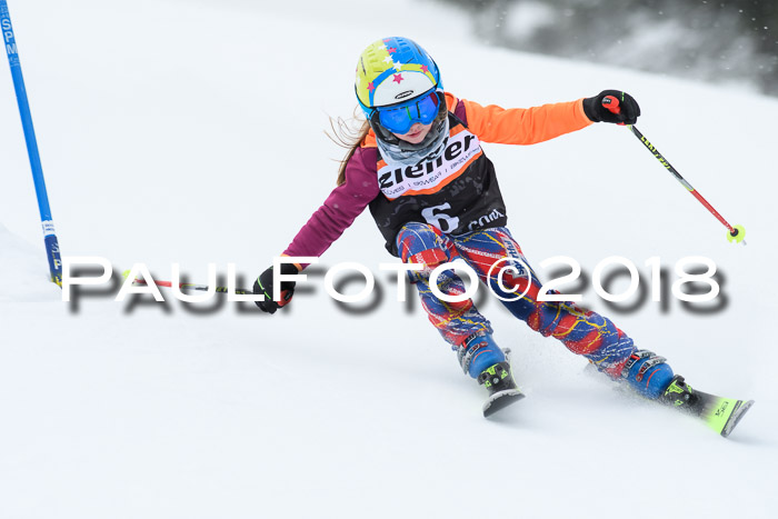 4. Ziener Cup WF, 25.02.2018