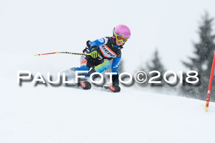 4. Ziener Cup WF, 25.02.2018