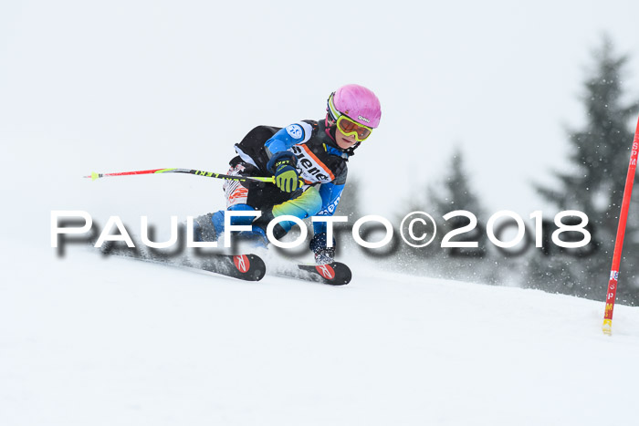 4. Ziener Cup WF, 25.02.2018