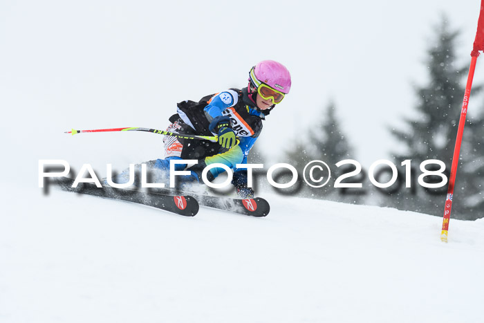 4. Ziener Cup WF, 25.02.2018