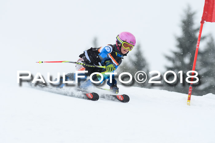 4. Ziener Cup WF, 25.02.2018